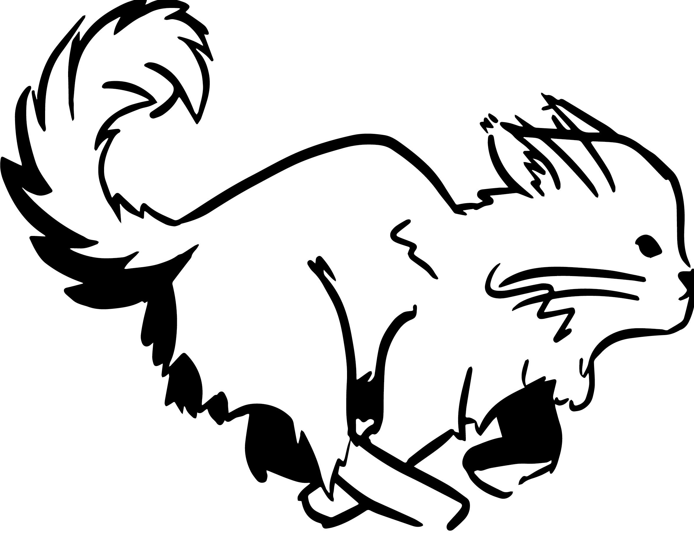Cats Run Wild logo